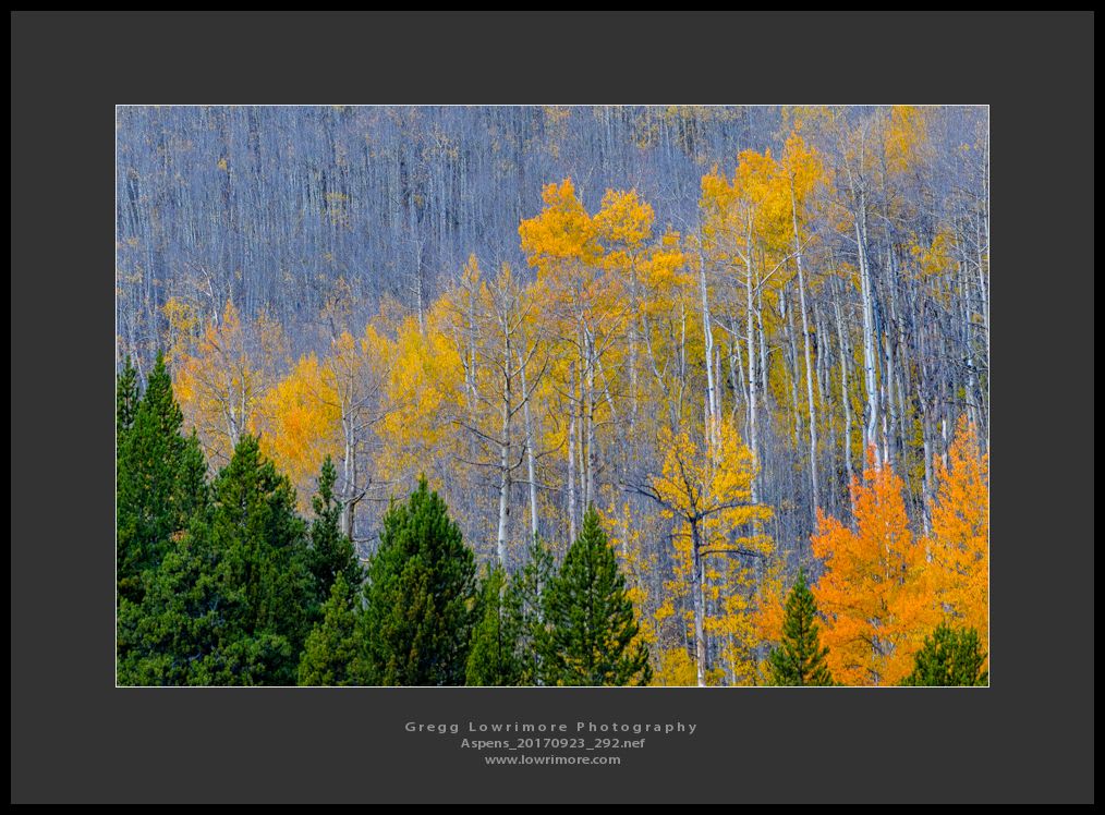 Aspens 20170923 292